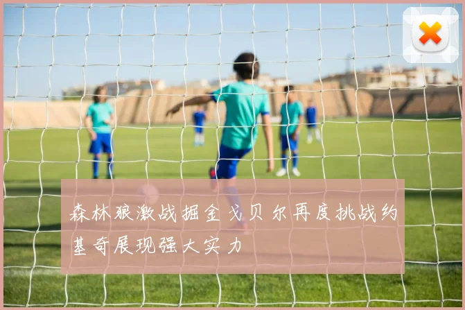 森林狼激战掘金戈贝尔再度挑战约基奇展现强大实力