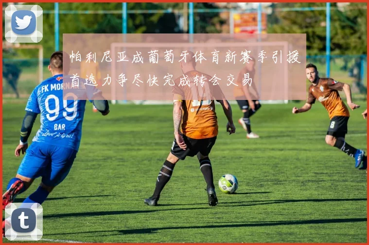 帕利尼亚成葡萄牙体育新赛季引援首选力争尽快完成转会交易
