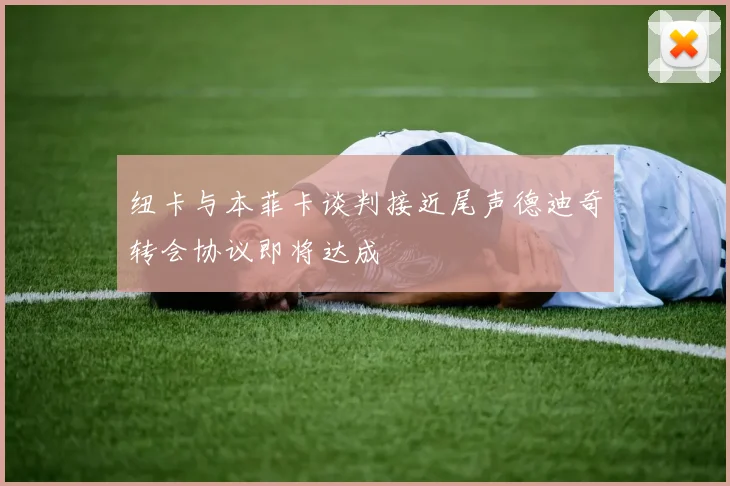 纽卡与本菲卡谈判接近尾声德迪奇转会协议即将达成